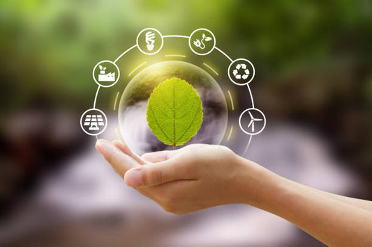Eco-Friendly Living: Sustainable Products for a Greener Lifestyle - Hollistic Human Shop